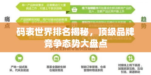 码表世界排名揭秘，顶级品牌竞争态势大盘点