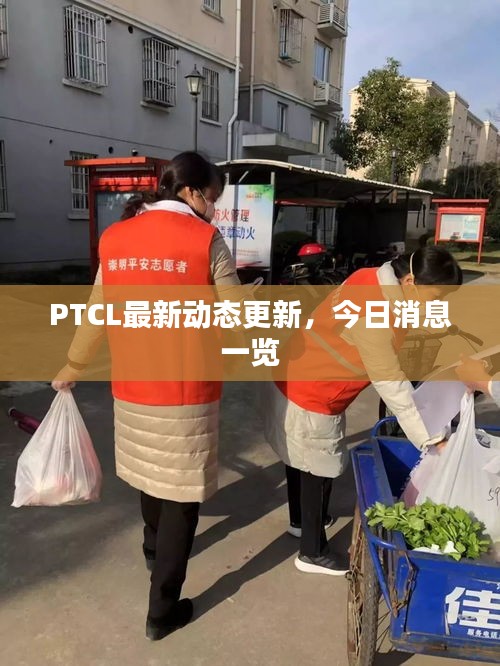 PTCL最新动态更新，今日消息一览