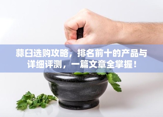 蒜臼选购攻略，排名前十的产品与详细评测，一篇文章全掌握！