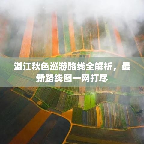 湛江秋色巡游路线全解析，最新路线图一网打尽