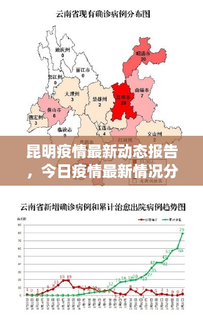 昆明疫情最新动态报告，今日疫情最新情况分析