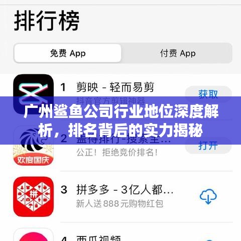 广州鲨鱼公司行业地位深度解析，排名背后的实力揭秘