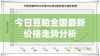 今日豆粕全国最新价格走势分析