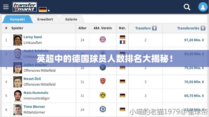英超中的德国球员人数排名大揭秘！