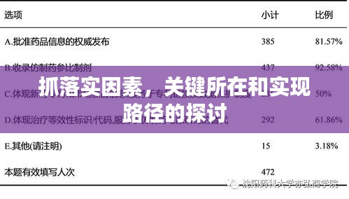 抓落实因素，关键所在和实现路径的探讨