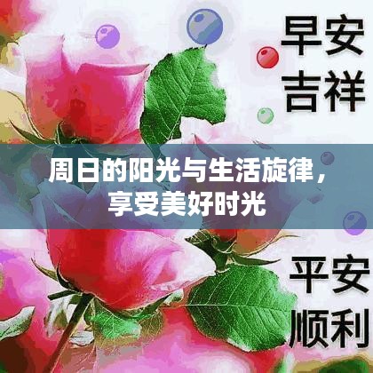 周日的阳光与生活旋律，享受美好时光