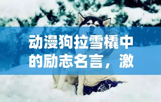 动漫狗拉雪橇中的励志名言，激发无尽斗志！