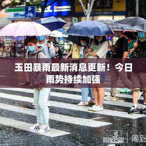 玉田暴雨最新消息更新！今日雨势持续加强