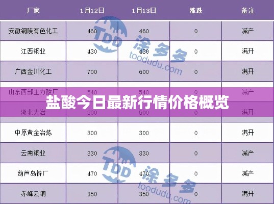 盐酸今日最新行情价格概览