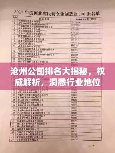 沧州公司排名大揭秘，权威解析，洞悉行业地位！