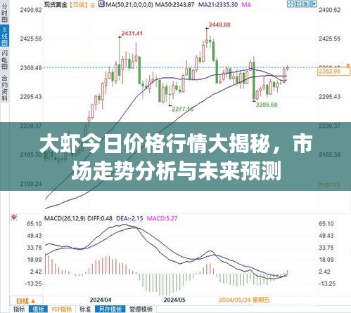 大虾今日价格行情大揭秘，市场走势分析与未来预测