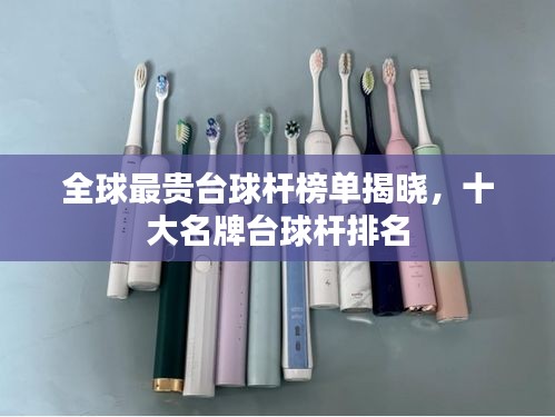 全球最贵台球杆榜单揭晓，十大名牌台球杆排名