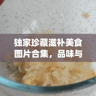 独家珍藏滋补美食图片合集，品味与健康双重享受