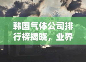 韩国气体公司排行榜揭晓，业界巨头一览无余