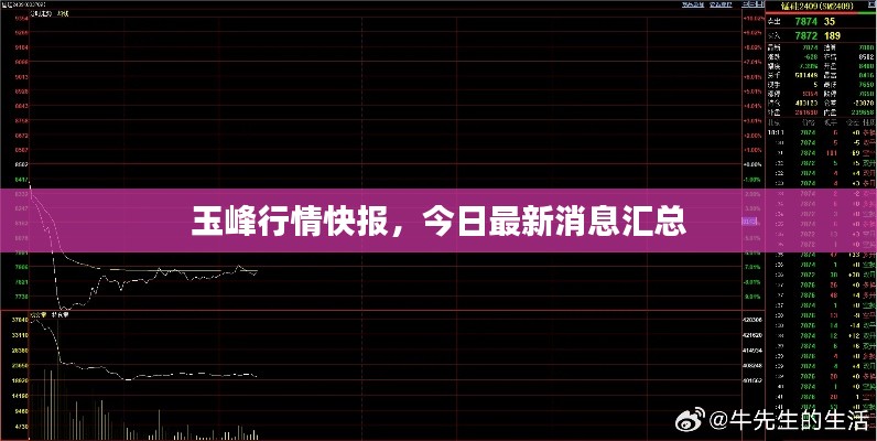 玉峰行情快报，今日最新消息汇总