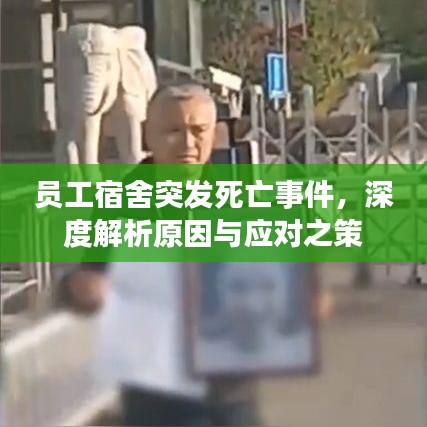 员工宿舍突发死亡事件，深度解析原因与应对之策