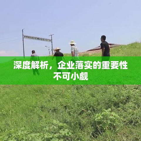 深度解析，企业落实的重要性不可小觑