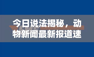 今日说法揭秘，动物新闻最新报道速递