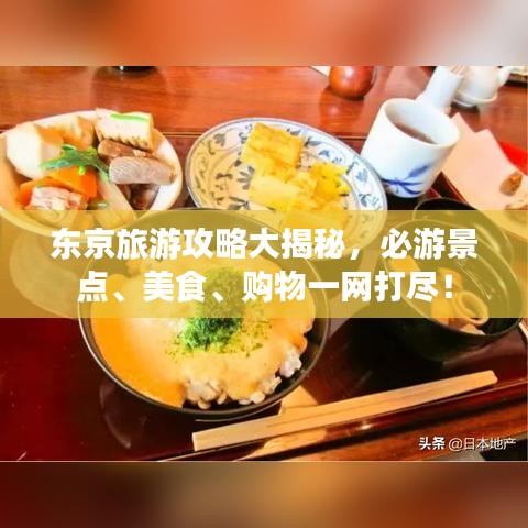 东京旅游攻略大揭秘，必游景点、美食、购物一网打尽！