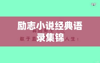 励志小说经典语录集锦