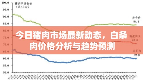 今日猪肉市场最新动态，白条肉价格分析与趋势预测