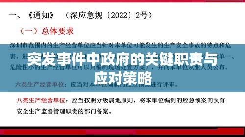 突发事件中政府的关键职责与应对策略