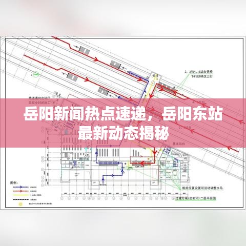 岳阳新闻热点速递，岳阳东站最新动态揭秘