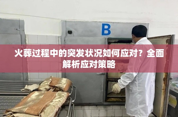 火葬过程中的突发状况如何应对？全面解析应对策略