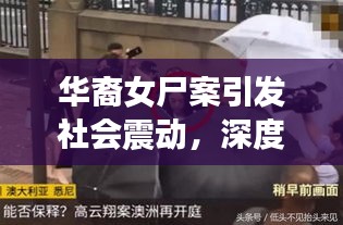 华裔女尸案引发社会震动，深度揭秘案件内幕