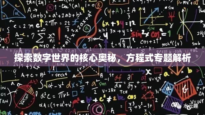 探索数字世界的核心奥秘，方程式专题解析