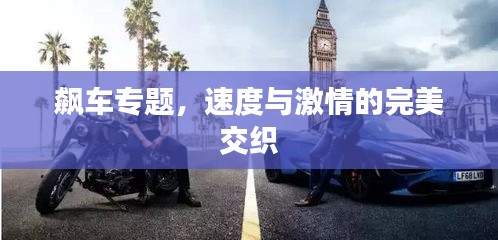 飙车专题，速度与激情的完美交织