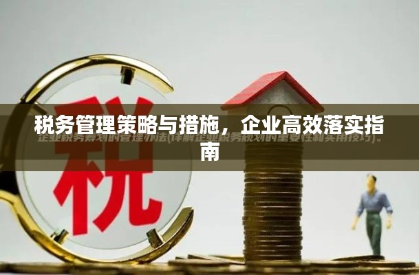 税务管理策略与措施，企业高效落实指南