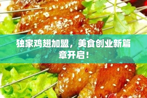 独家鸡翅加盟，美食创业新篇章开启！