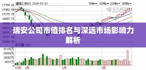 瑞安公司市值排名与深远市场影响力解析