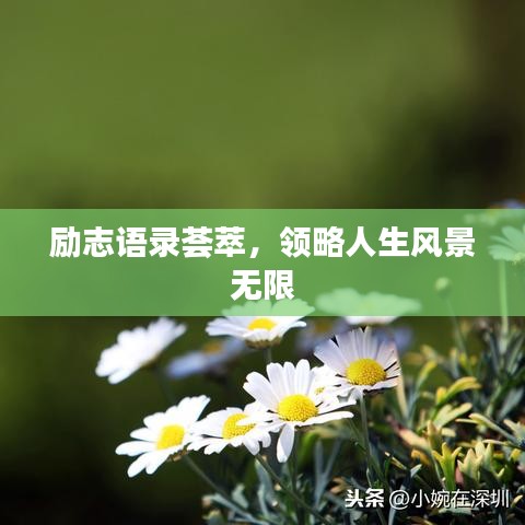 励志语录荟萃，领略人生风景无限