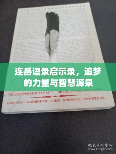 连岳语录启示录，追梦的力量与智慧源泉