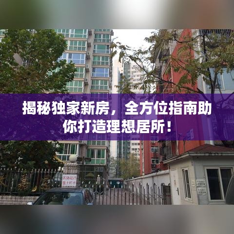 揭秘独家新房，全方位指南助你打造理想居所！