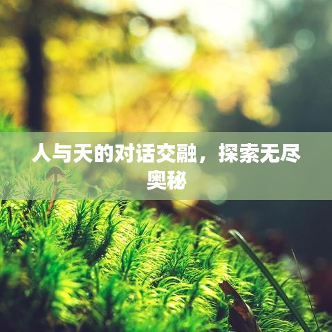 人与天的对话交融，探索无尽奥秘