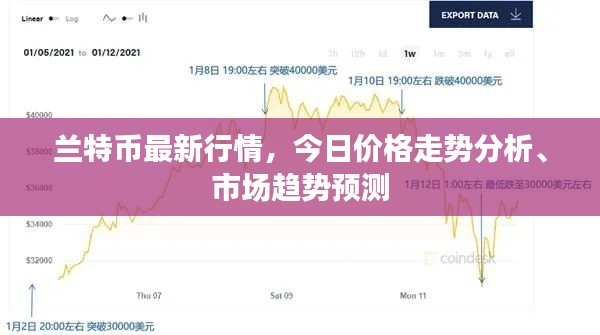兰特币最新行情，今日价格走势分析、市场趋势预测