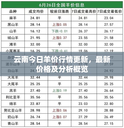 云南今日羊价行情更新，最新价格及分析概览