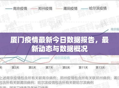 厦门疫情最新今日数据报告，最新动态与数据概况