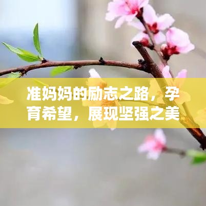 准妈妈的励志之路，孕育希望，展现坚强之美