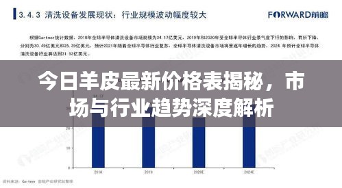 今日羊皮最新价格表揭秘，市场与行业趋势深度解析