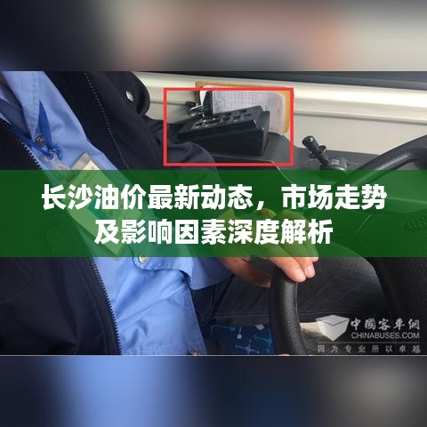 长沙油价最新动态，市场走势及影响因素深度解析