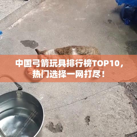 中国弓箭玩具排行榜TOP10，热门选择一网打尽！