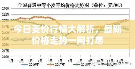 今日麦价行情大解析，最新价格走势一网打尽