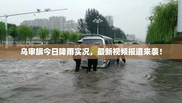 乌审旗今日降雨实况，最新视频报道来袭！