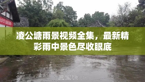 凌公塘雨景视频全集，最新精彩雨中景色尽收眼底