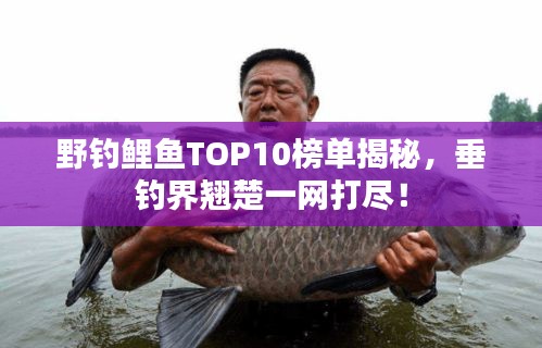 野钓鲤鱼TOP10榜单揭秘，垂钓界翘楚一网打尽！