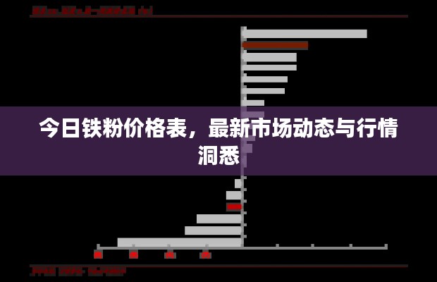 今日铁粉价格表，最新市场动态与行情洞悉